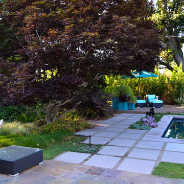Geometry Overgrown: a Modern Pool & Landscape