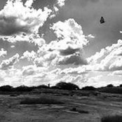 Lerato-Rato Kuzwayo's photo