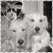 Kari Taylor's photo