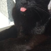 Olga Lin's photo