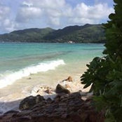 Philip Leong's photo