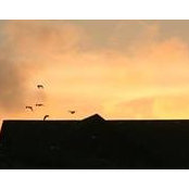 Marketta Little's photo