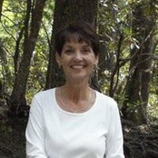 Vicki Bukovitz's photo