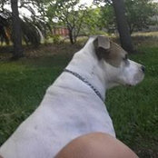 Christen Boals's photo