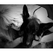 Foto de Joanne Willcox