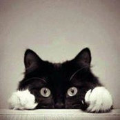 Marcia Bennett's photo