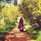 مريم فرحات's photo