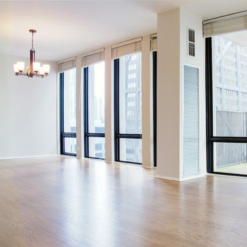 Chicago Gold Coast Condo Renovation