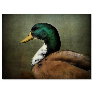 Jai Johnson 'Mallard Duck Portrait' Canvas Art, 19 x 14