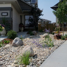 Dry Creek Bed