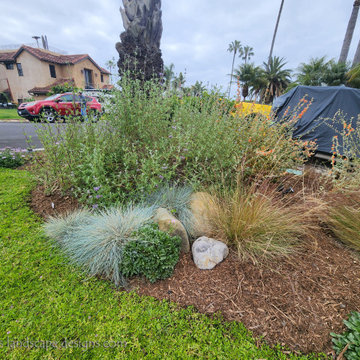 Small Dana Point Front Garden Makeover