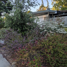 EATON - Garden ideas