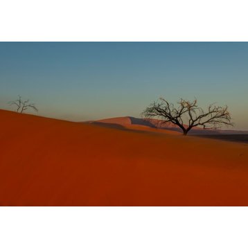 36x24 Namibia Desert Morning III, Unframed Artwork
