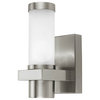 1x40W Outdoor Wall Light, Matte Nickel Finish & Opal Frosted Glass