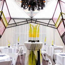 Wedding/Event Setting