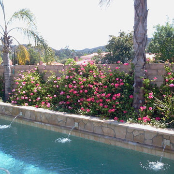 Landscape Design & Maintenance