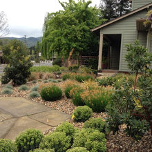 Landscape Ideas
