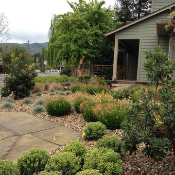 Drought tolerant landscapes