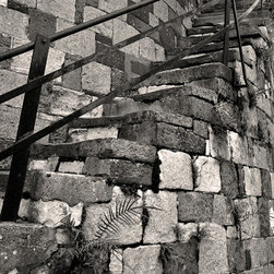 Old Limestone Steps - River Street - Savannah - Georgia - Prints And Posters