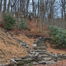 Dream Home