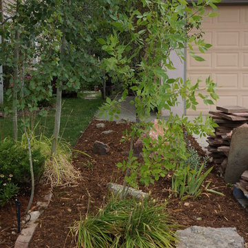Edible Streetscape