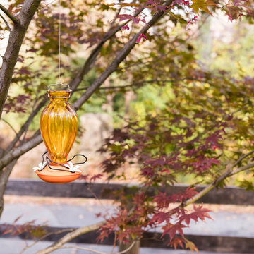 Rethinking the Front Lawn - Try a Native Perennial Garden Instead!