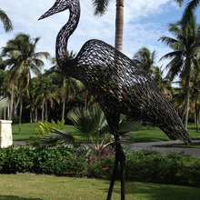 Bird statute