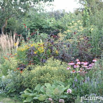 Photos du jardin 2015