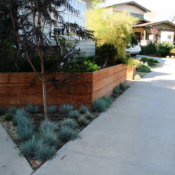 Coronado Lawn Replacement