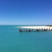 Trish Kermond's photo