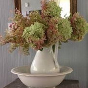 Terry Cottiers's photo