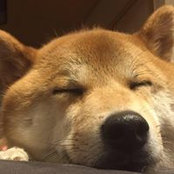 Foto von Kenji Yano