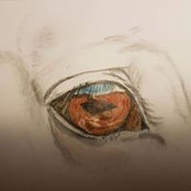 Jacqueline Brachwitz's photo
