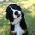 kerryandrenata_manton