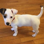 Mark Koraido's photo
