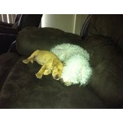 Lona Mckenzie's photo