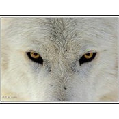 Mary Ann Molendijk's photo