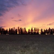Carol Masengale's photo