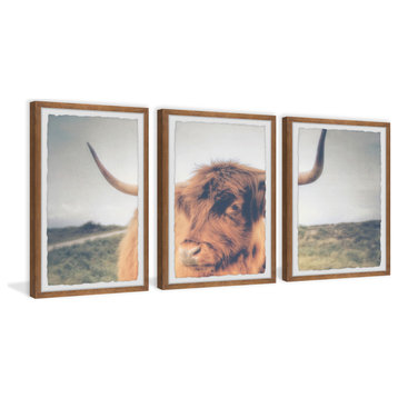 Cow's Eye View Triptych, 3-Piece Set, 12x18 Panels