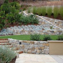 ideas for my yard