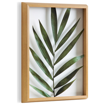 Blake Botanical 5F Framed Printed Glass by Amy Peterson, Natural 16x20