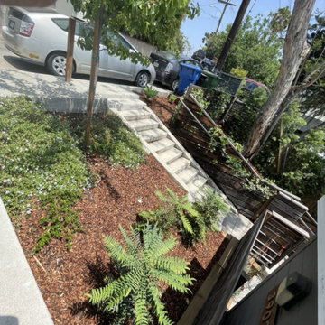 Front Yard Design and Install