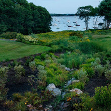 Rain Gardens
