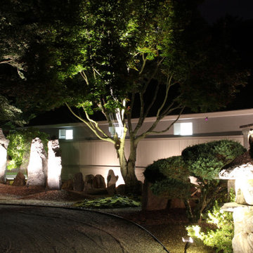 A most Unique Property with some Specimen Plant materials over 100 years old