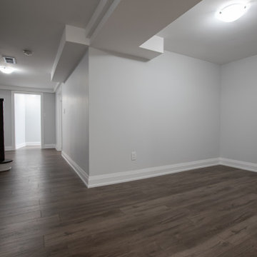Modern Basement with Laminate Floors