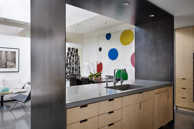 Open concept kitchen - mid-sized galley concrete floor and gray floor open concept kitchen idea in Seattle with light wood cabinets, concrete countertops, stainless steel appliances and an island