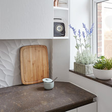 plantes interieur