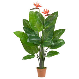 Asian Artificial Plants And Trees by Quality Silk Plants