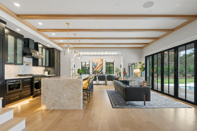 Living room - living room idea in Boston