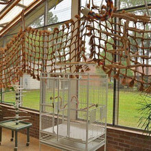 Bird Room